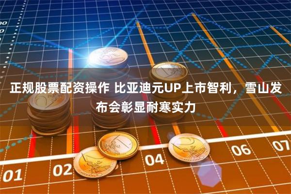 正规股票配资操作 比亚迪元UP上市智利，雪山发布会彰显耐寒实力