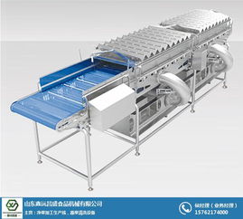 蔬菜清洗機械廠家 選擇鑫沅昌盛 南京蔬菜清洗機械